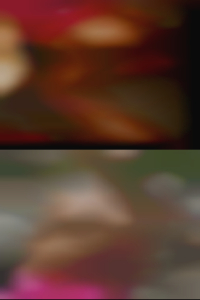 local swingers in VA local swingers in VA